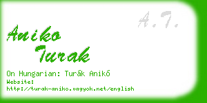 aniko turak business card